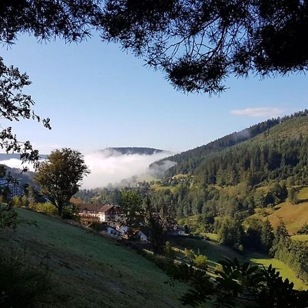 Ferienwohnung Tonbachtal Baiersbronn Εξωτερικό φωτογραφία