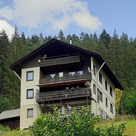Ferienwohnung Tonbachtal Baiersbronn Εξωτερικό φωτογραφία